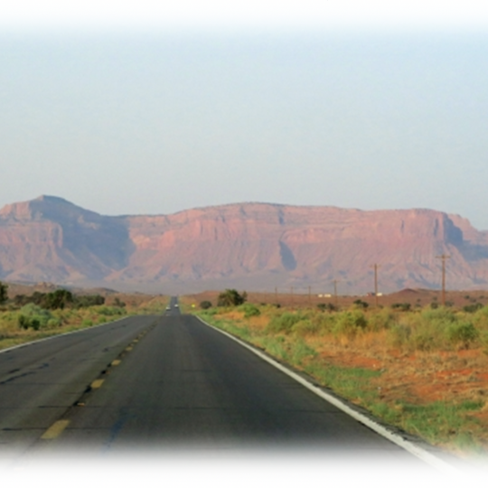 イワダレソウによる砂漠緑化の事例